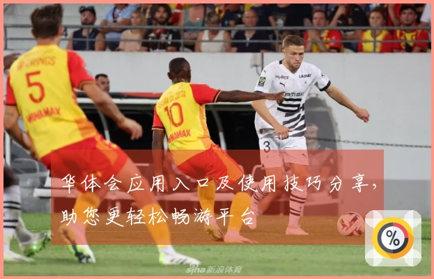 华体会应用入口及使用技巧分享，助您更轻松畅游平台