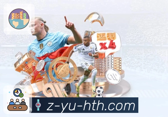 稳定访问登录器